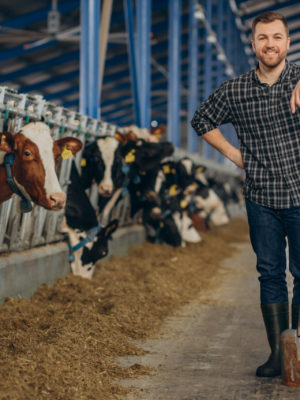 Farmer at cowshed with pitchfork cleaning up